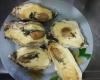 Ostra Cassinho