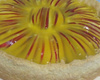 Torta de maçã delícia
