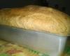 Pão integral especial da Gel