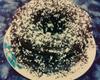 Bolo de chocolate de liqüidificador