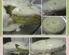 Bolo de limão