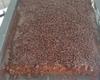 Bolo de chocolate de liqüidificador