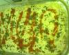 Torta delícia salgada