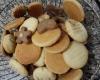 Biscoitos de manteiga fácil