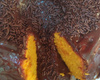 Bolo de cenoura com brigadeiro mole