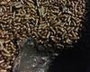 Brigadeiro de panela