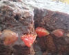 Bolo de micro-ondas de chocolate da Angélica