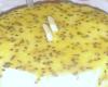 Bolo de maracujá trufado