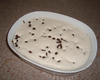 Pavê de Chocolate