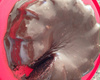 Bolo de chocolate com coco sem farinha
