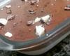 Torta de prestígio