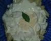 Molho branco para macarrão