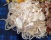 Macarrão ao molho branco - simples e rápido