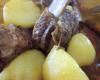 Costela Bovina com Batata