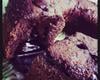 Bolo de chocolate cremoso