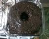 Bolo de chocolate de liquidificador