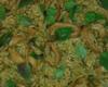 Arroz de lula