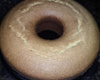 Bolo de laranja rápido (liquidificador)