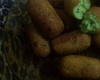 Bolinho de Arroz