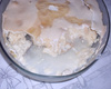 Torta de banana com creme e suspiro do Marcelo