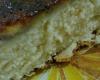 Bolo de leite condensado