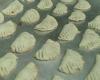 Pastel de forno