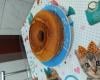 Bolo de fubá vegano - fica igualzinho ao normal