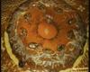 Bolo de chocolate com ameixas