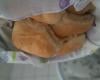 Pão caseiro com fermento biológico