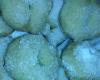 Rosquinha de pinga
