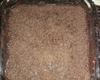 Pavê de brigadeiro