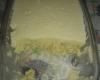 Gelado de Abacaxi