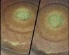 Bolo de milho verde