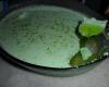 Mousse de gelatina