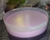 Gelatina cremosa com creme de leite