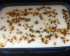Mousse de maracujá