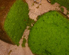 Bolo de agrião