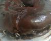Bolo de chocolate com creme de café com chocolate