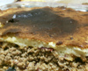 Torta de carne moida