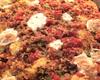 Pizza rápida de liquidificador