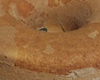 Bolo sem ovos
