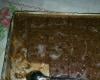 Bolo de chocolate sem óleo