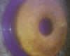 Bolo de laranja molhadinho