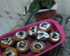 Cupcake da Camilão