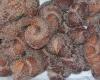 Rosca frita