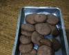 Biscoito de chocolate econômico