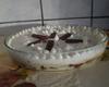 Pavê de Bis