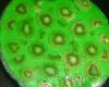 Torta de Limão e kiwi
