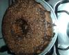 Bolo de chocolate de liquidificador