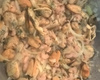 Arroz com mexilhão